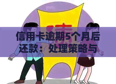 信用卡逾期5个月后还款：处理策略与影响分析