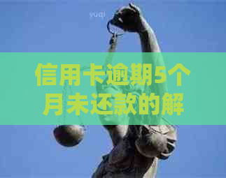 信用卡逾期5个月未还款的解决策略与建议