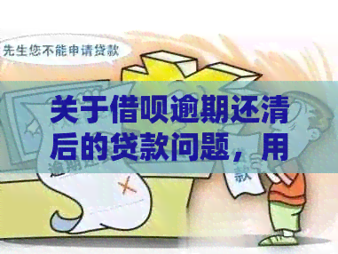 关于网贷逾期还清后的贷款问题，用户可能关心的几个方面