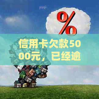 信用卡欠款5000元，已经逾期4个月的处理方法及影响分析