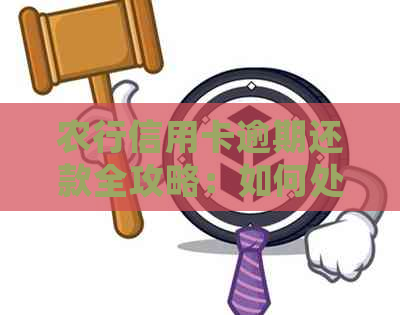 农行信用卡逾期还款全攻略：如何处理小额逾期，解决各种还款难题