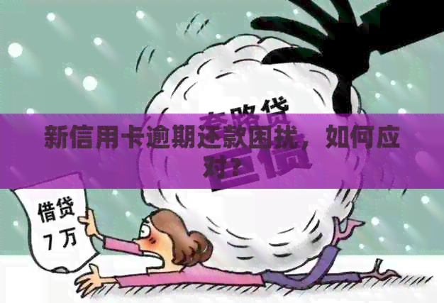 新信用卡逾期还款困扰，如何应对？