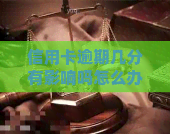 信用卡逾期几分有影响吗怎么办，2021年新规定信用卡逾期多久会起诉。