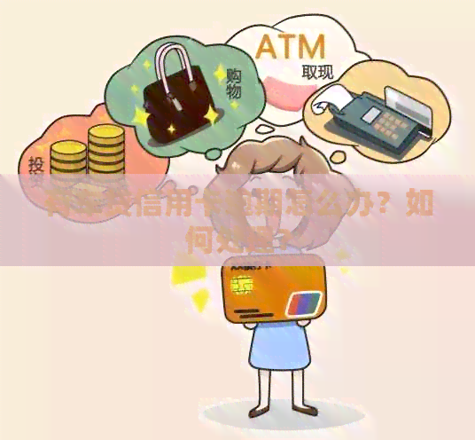 有车贷信用卡逾期怎么办？如何处理？