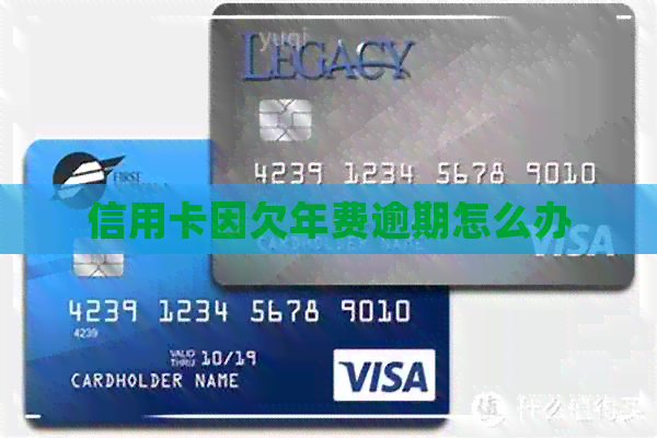 信用卡因欠年费逾期怎么办