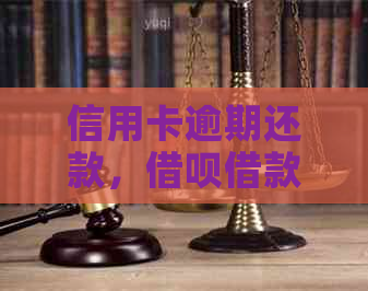 信用卡逾期还款，网贷借款是否可行？