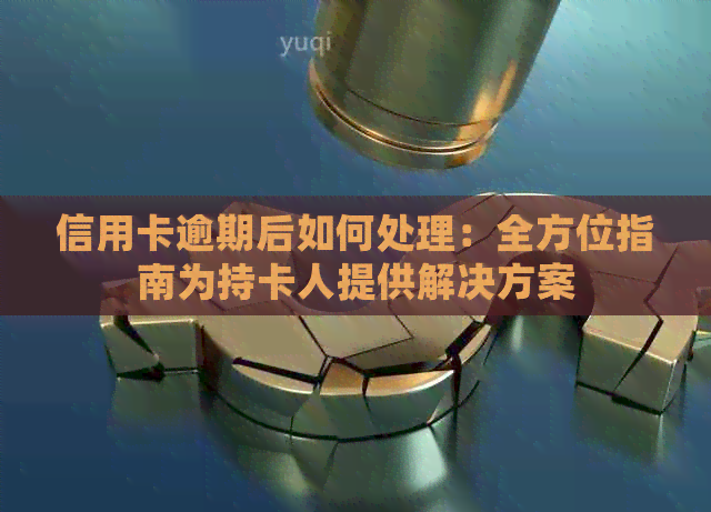 信用卡逾期后如何处理：全方位指南为持卡人提供解决方案