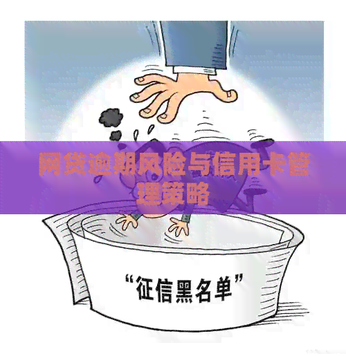 网贷逾期风险与信用卡管理策略