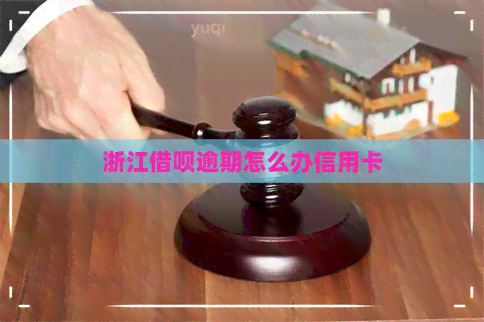 浙江网贷逾期怎么办信用卡