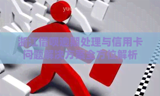 浙江网贷逾期处理与信用卡问题解决方案全方位解析