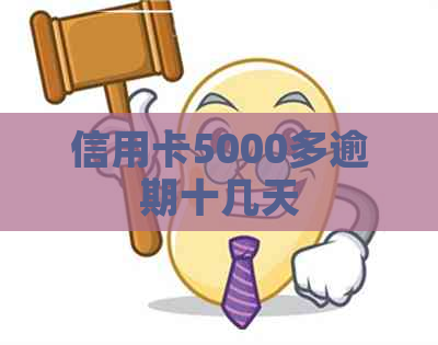 信用卡5000多逾期十几天