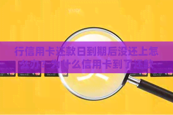 行信用卡还款日到期后没还上怎么办？为什么信用卡到了还款日还没出账单？