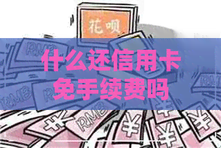什么还信用卡免手续费吗