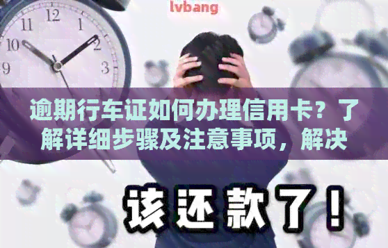 逾期行车证如何办理信用卡？了解详细步骤及注意事项，解决您的问题！