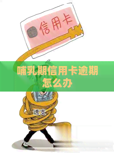 哺乳期信用卡逾期怎么办