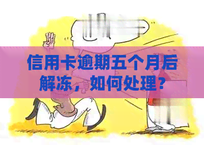 信用卡逾期五个月后解冻，如何处理？