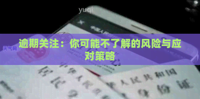 逾期关注：你可能不了解的风险与应对策略