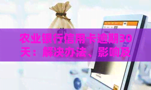农业银行信用卡逾期30天：解决办法、影响及如何规划还款计划的全面指南