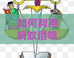 如何利用蚂蚁网贷高效还款信用卡：实用技巧与操作指南