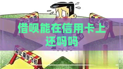 网贷能在信用卡上还吗吗