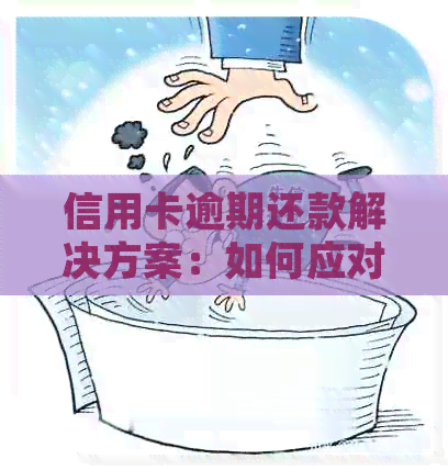 信用卡逾期还款解决方案：如何应对因风控导致的逾期问题？