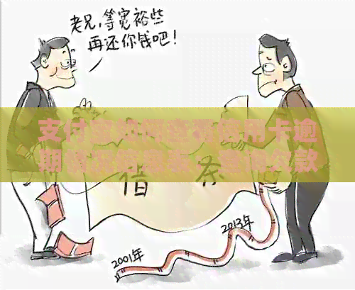 支付宝如何查看信用卡逾期情况信息表：查询欠款与逾期记录