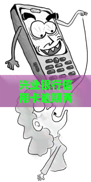 兴业银行信用卡逾期两天利息计算与影响