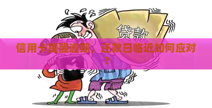 信用卡提醒逾期，还款日临近如何应对？