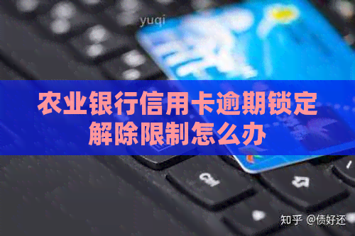 农业银行信用卡逾期锁定解除限制怎么办