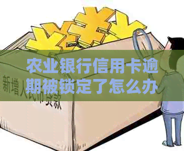 农业银行信用卡逾期被锁定了怎么办？解锁方法和解决措全解析