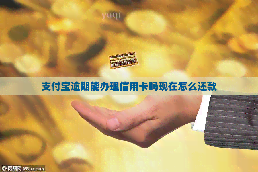 支付宝逾期能办理信用卡吗现在怎么还款