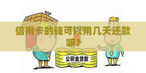 信用卡的钱可以用几天还款嘛？