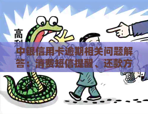 中银信用卡逾期相关问题解答：消费短信提醒、还款方式和逾期后果全解析