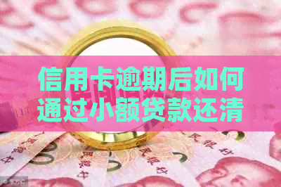 信用卡逾期后如何通过小额贷款还清债务