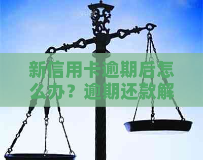 新信用卡逾期后怎么办？逾期还款解决办法和建议！