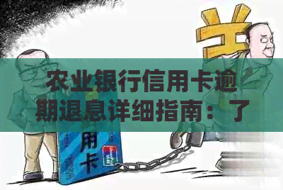 农业银行信用卡逾期退息详细指南：了解所有可能性、流程和注意事项