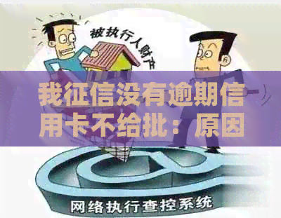 我没有逾期信用卡不给批：原因、解决办法及影响