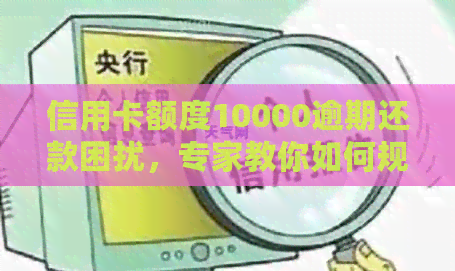信用卡额度10000逾期还款困扰，专家教你如何规划财务