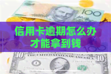 信用卡逾期怎么办才能拿到钱