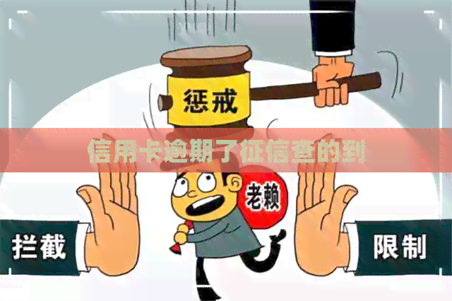 信用卡逾期了查的到
