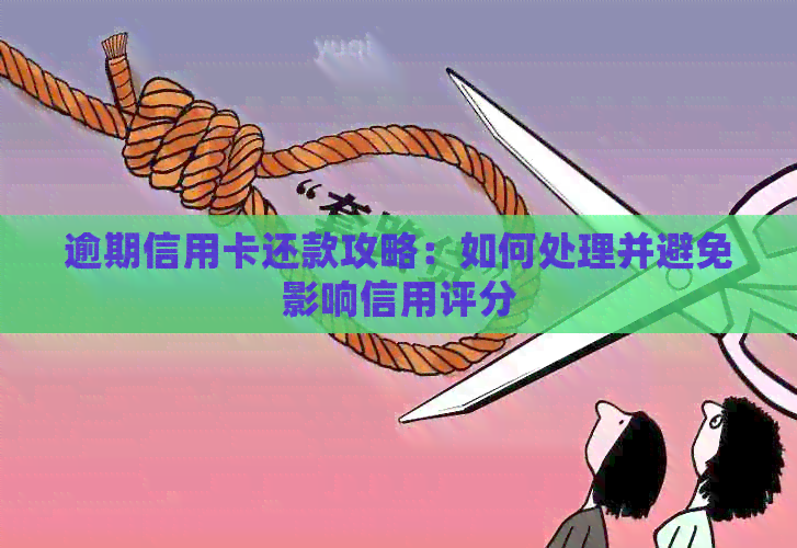逾期信用卡还款攻略：如何处理并避免影响信用评分