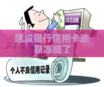 建设银行信用卡逾期冻结了