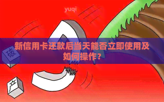 新信用卡还款后当天能否立即使用及如何操作？