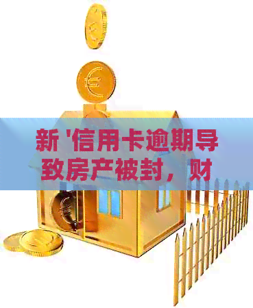 新 '信用卡逾期导致房产被封，财务危机中的挣扎与解决方案'