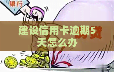 建设信用卡逾期5天怎么办