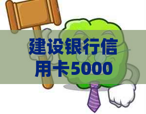 建设银行信用卡5000元逾期多久会起诉：后果与处理方式全解析
