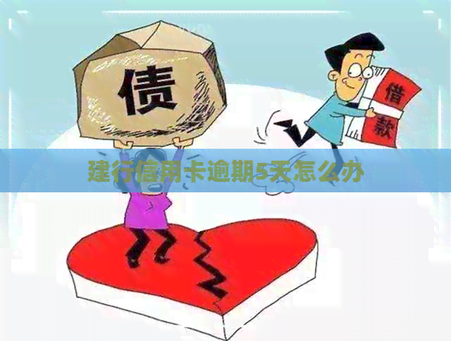 建行信用卡逾期5天怎么办