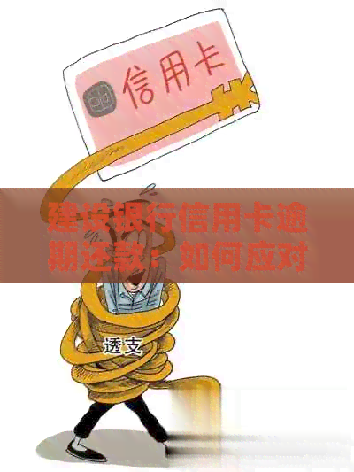 建设银行信用卡逾期还款：如何应对上门以及解决其他相关问题？
