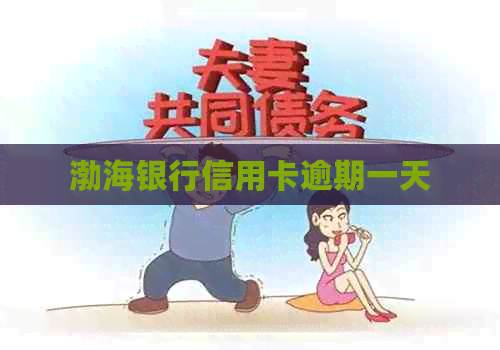 渤海银行信用卡逾期一天