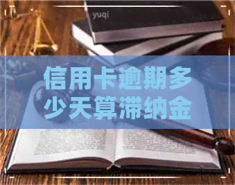 信用卡逾期多少天算滞纳金